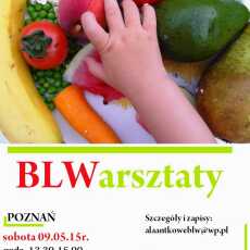 Przepis na Warsztaty BLW Poznań, sobota 9.05. 2015r.
