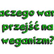 Przepis na 15 powodów by przejść na weganizm