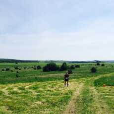 Przepis na II Bieg Zdobywców Orlich Gniazd – Ogrodzieniec 2015 - relacja