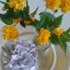 Przepis na Złotlin japoński - piękno drobnych żółtych kwiatów.