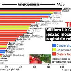 Przepis na Angiogeneza - czy jedzenie jest lepsze od leków aby zatrzymać raka ?