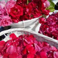 Przepis na Suszymy płatki róż i kwiaty lawendy - by zachować ich czar na dłużej ... 