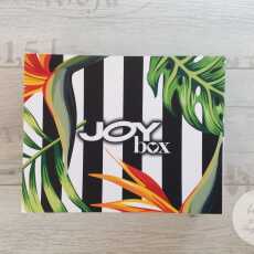 Przepis na Recenzja czerwcowego JOY BOX 