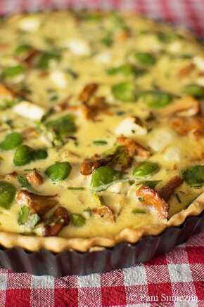 ● Pizze, tarty, quiche