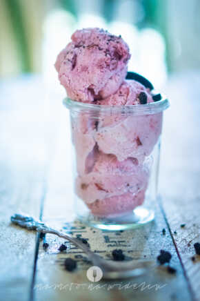 lody śliwkowe