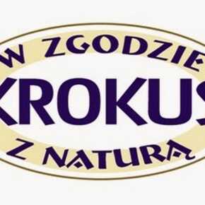 Krokus