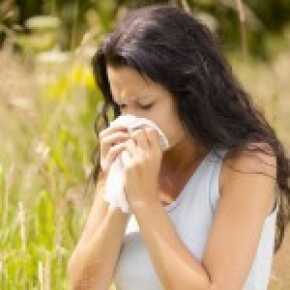 pyłki traw a alergia pokarmowa