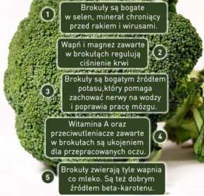 brokuły właściwości