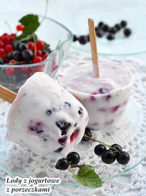 jogurt mrożony z owocami