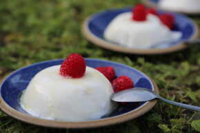 panna cotta thermomix