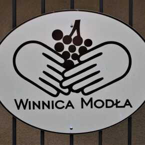 Winnica Modła