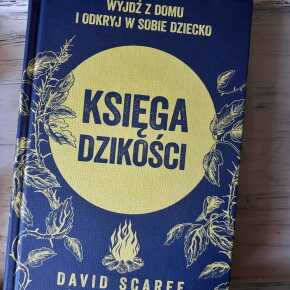 Księga dziskości