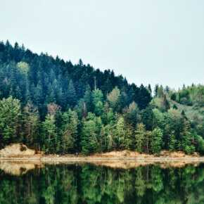 Bieszczady