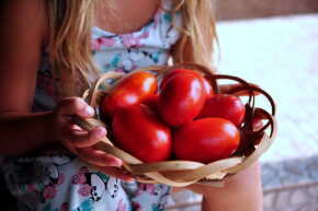 puder pomidorowy