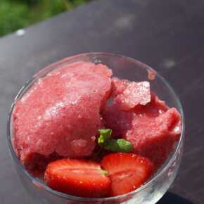 sorbet