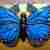 Blue butterfly cake