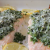 Łosoś zapiekany z jarmużowym pesto // Baked salmon with kale pesto