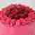 Raspberry hibiscus cake 
