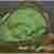 Guacamole - awokado i zielona papryka