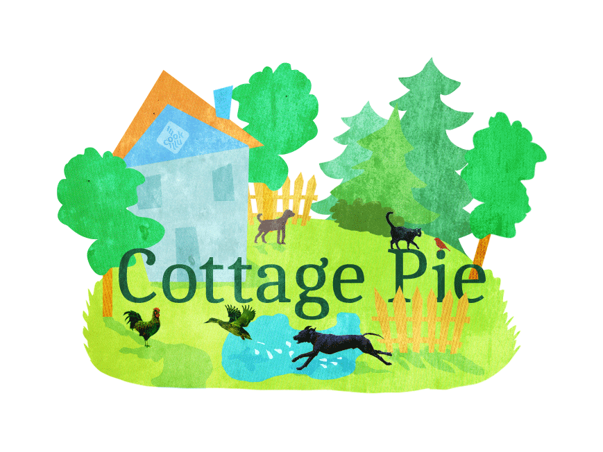 Zapiekanka Wiejska czyli angielski Cottage Pie