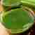 Zielony koktajl z kiwi i jarmużem