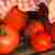 Domowy sok pomidorowy; domowy koncentrat pomidorowy (przecier pomidorowy)