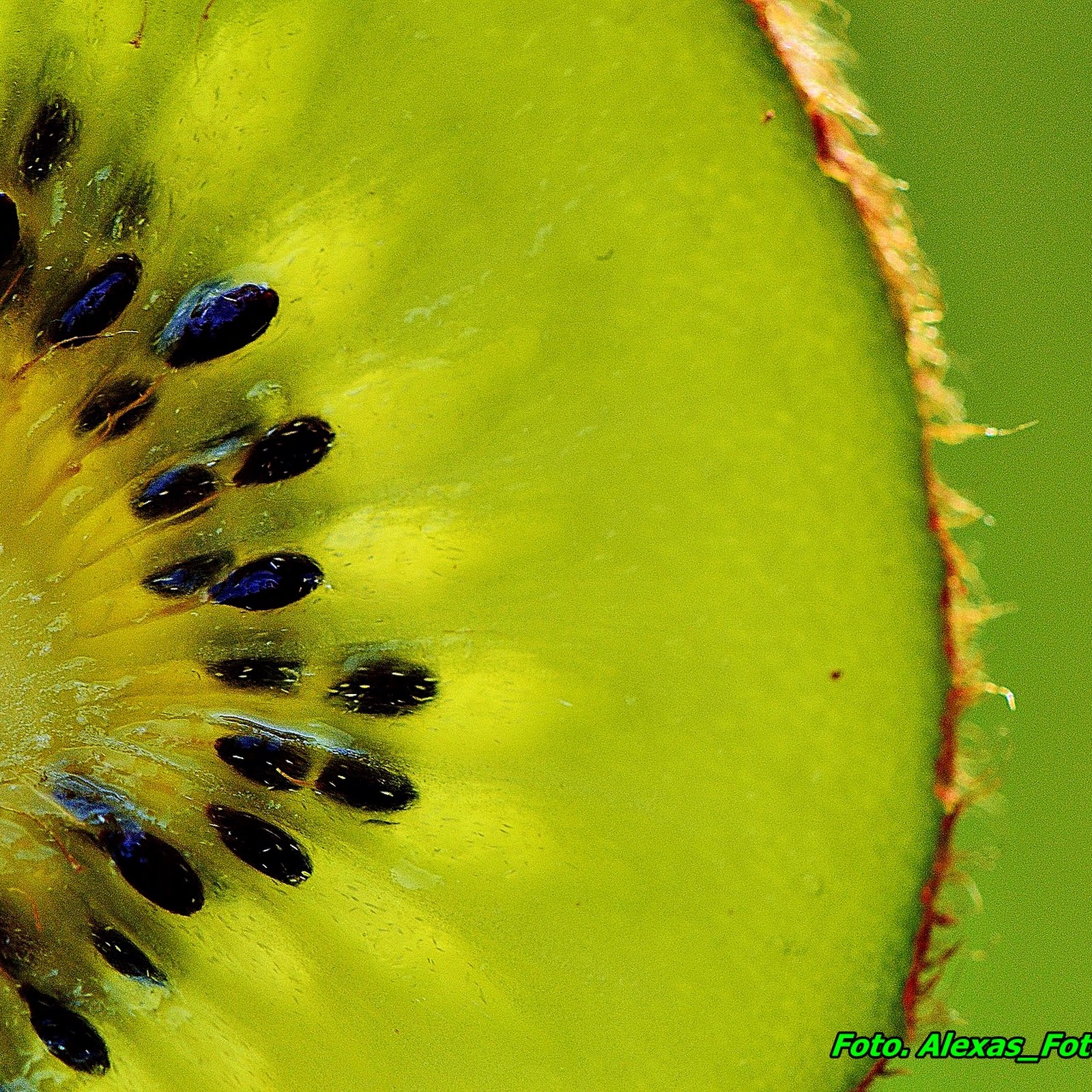 Smoothie z kiwi i jabłka ( oczyszcza i wzmacnia odporność organizmu ).