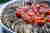 Ratatouille (ratatuj), czyli zapiekanka z bakłażanów, cukinii i pomidorów