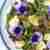 Grillowa sałatka ze szparagami, granatem i camemebertem