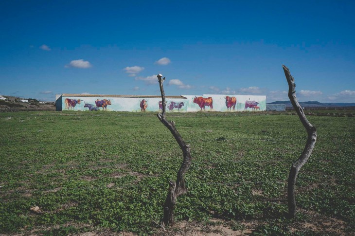 Conil de la Frontera – idealne miejsce na andaluzyjskie wakacje