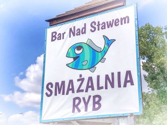 Bar Nad Stawem – smaczna rybka w Warszawie