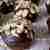 Kakaowe muffiny z migdałami