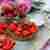 Tartaletki maślane z kremem waniliowym i truskawkami