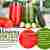 ogórek + cytryna + jarmuż + rukola ORAZ pomidor + papryka + chilli
