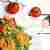 Kotlety z ciecierzycy i komosy ryżowej z sałatką z awokado, pomidora i cebuli czerwonej | wegańskie, bezglutenowe