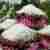 Muffinki marchewkowe z serkiem mascarpone i wiórkami kokosowymi