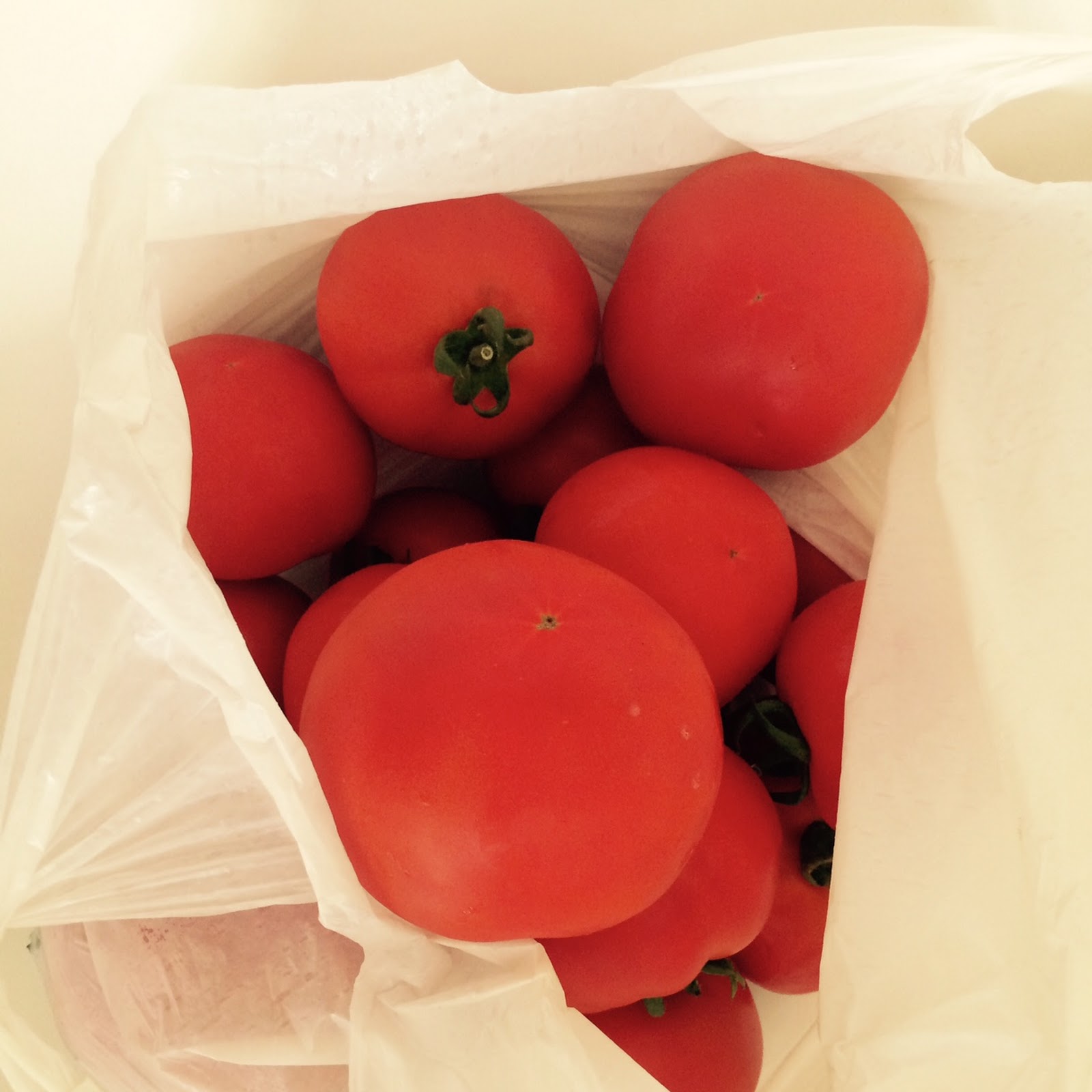 Pomidory Challenge czyli przygotowania do Poznania