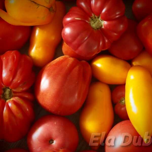 Ketchup, przecier pomidorowy i warzywny, czyli co zrobić z nadmiarem pomidorów