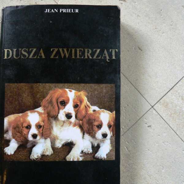 'Dusza zwierząt'