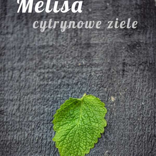 Melisa - cytrynowe ziele. 