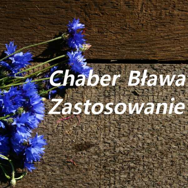 Chaber bławatek zastosowawnie w kosmetyce i w medycynie