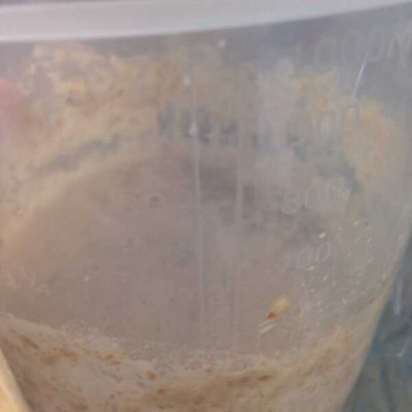 Sourdough starter