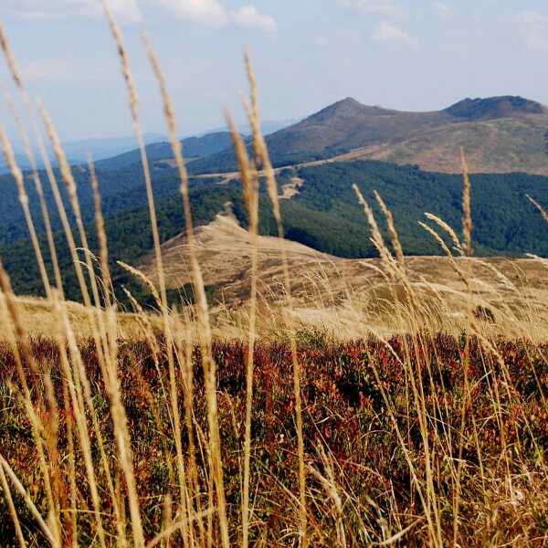 BIESZCZADY - MOJA NOWA MIŁOŚĆ