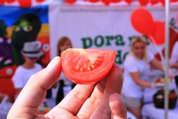 „Pora na pomidora” w Uniejowie
