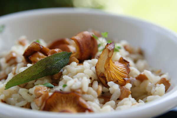 Risotto z kurkami, tymiankiem i szałwią