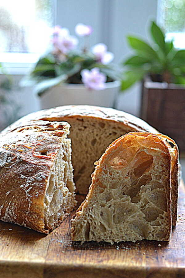 Chleb z mąką z płaskurki i dojrzałym pecorino. Wrześniowa Piekarnia