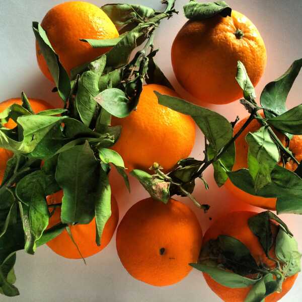 Sycylijska sałatka z pomarańczy i śledzia