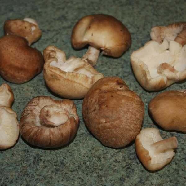 Szpinakowe shiitake