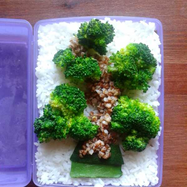 Bento #2 - bonsai