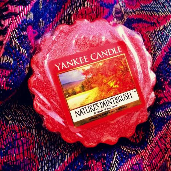 Pachnący kącik 31 - Yankee Candle Nature's paintbrush